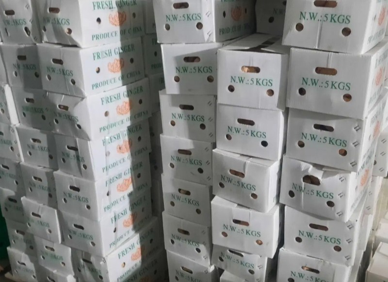 پخش زنجبیل تر و زردچوبه موز شکلات قهوه