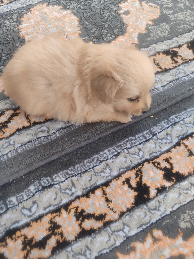 تصویر 3